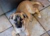 Dorothy (Dottie) photo 5