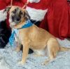 Dorothy (Dottie) photo 6