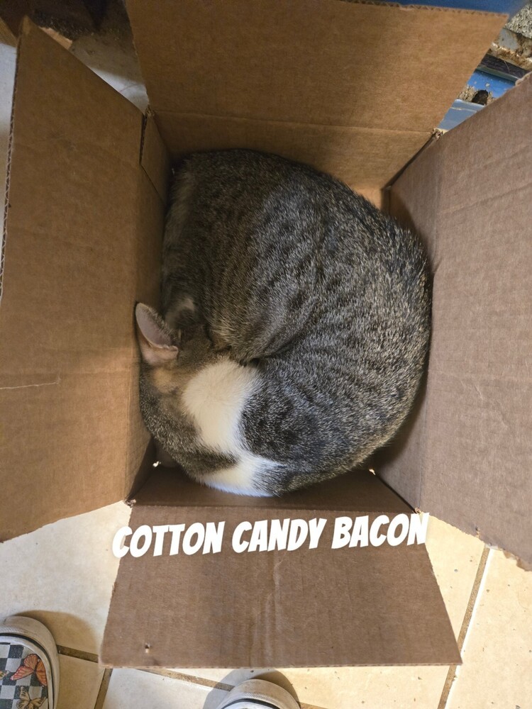 Cotton Candy Bacon 0757