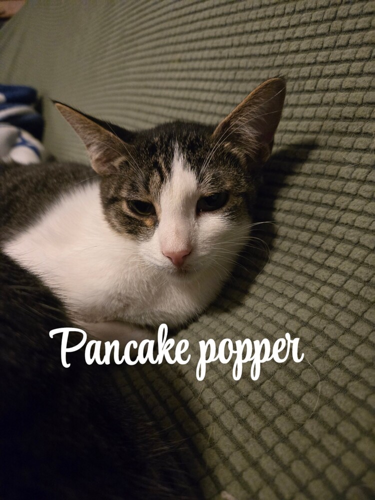 Pancake Popper 0774