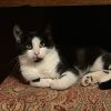 Axel photo 1