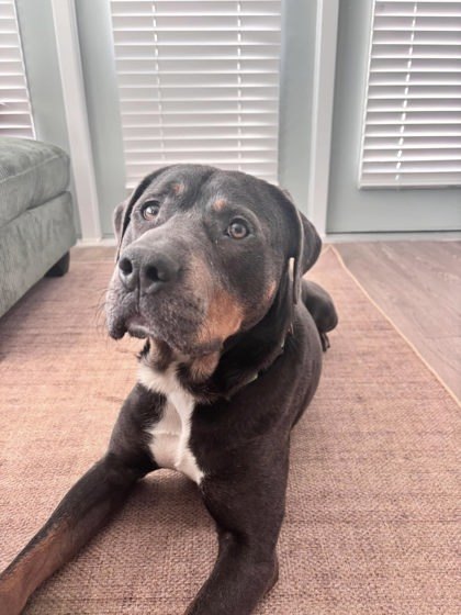 Capone