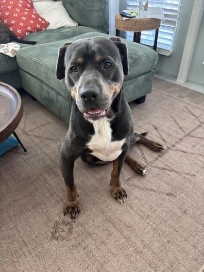 Capone