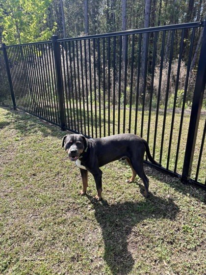 Capone