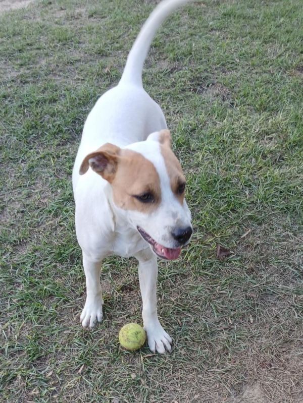 Cheyenne thumbnail 3