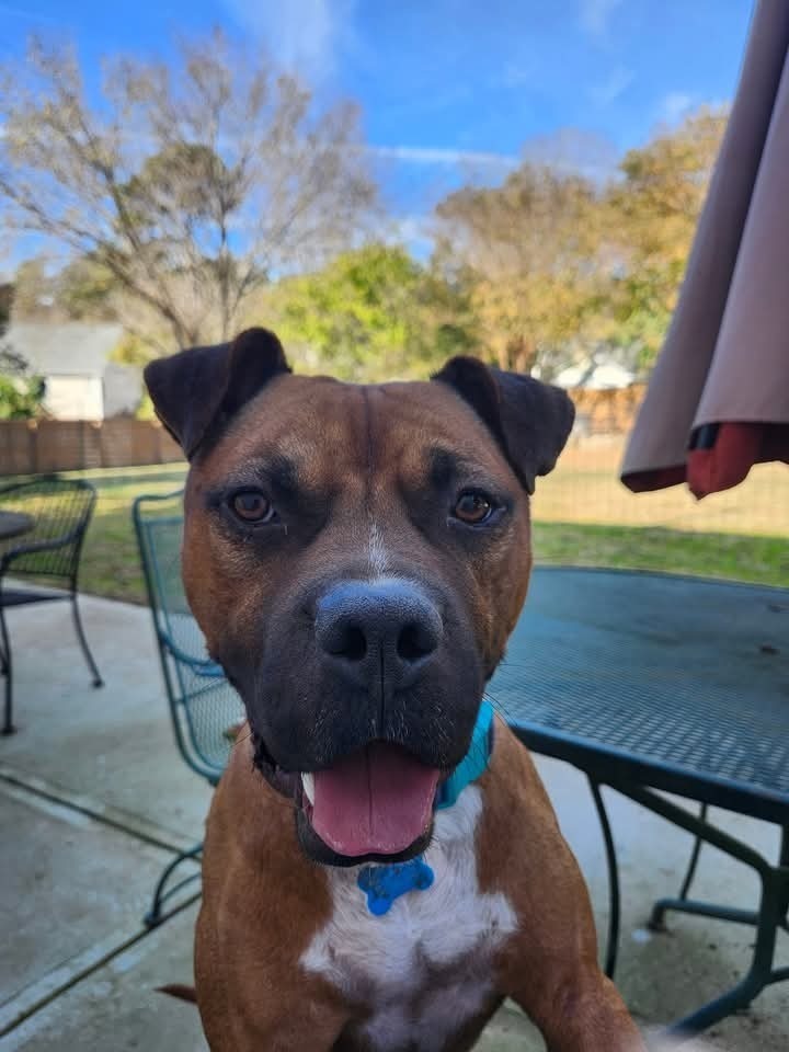 Rudy