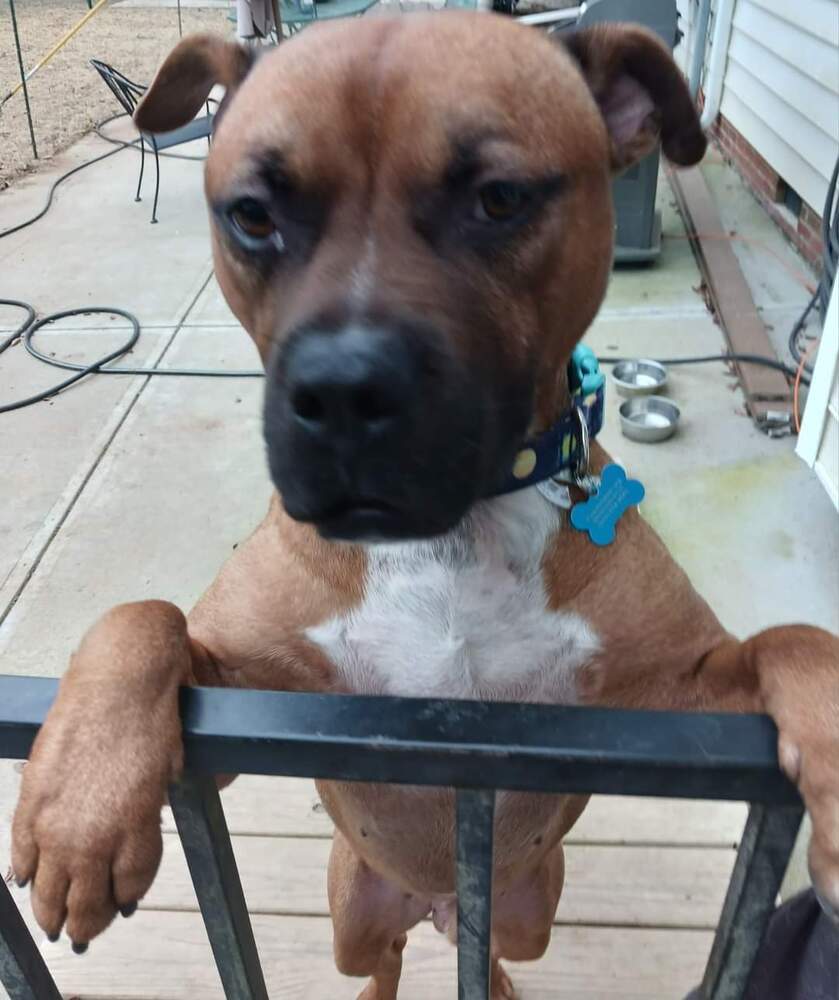 Rudy