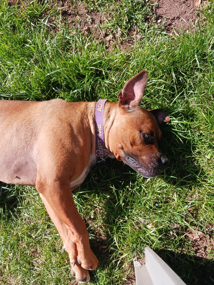 Rudy