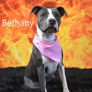 Bethany