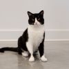 Hermey photo 1