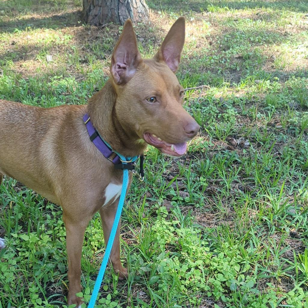 Nora