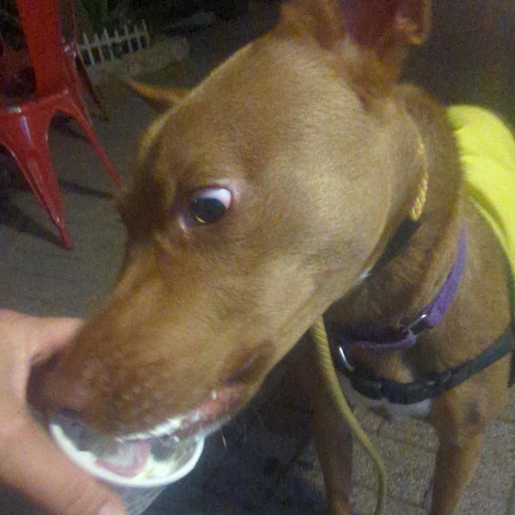 Nora