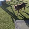 Plex photo 4