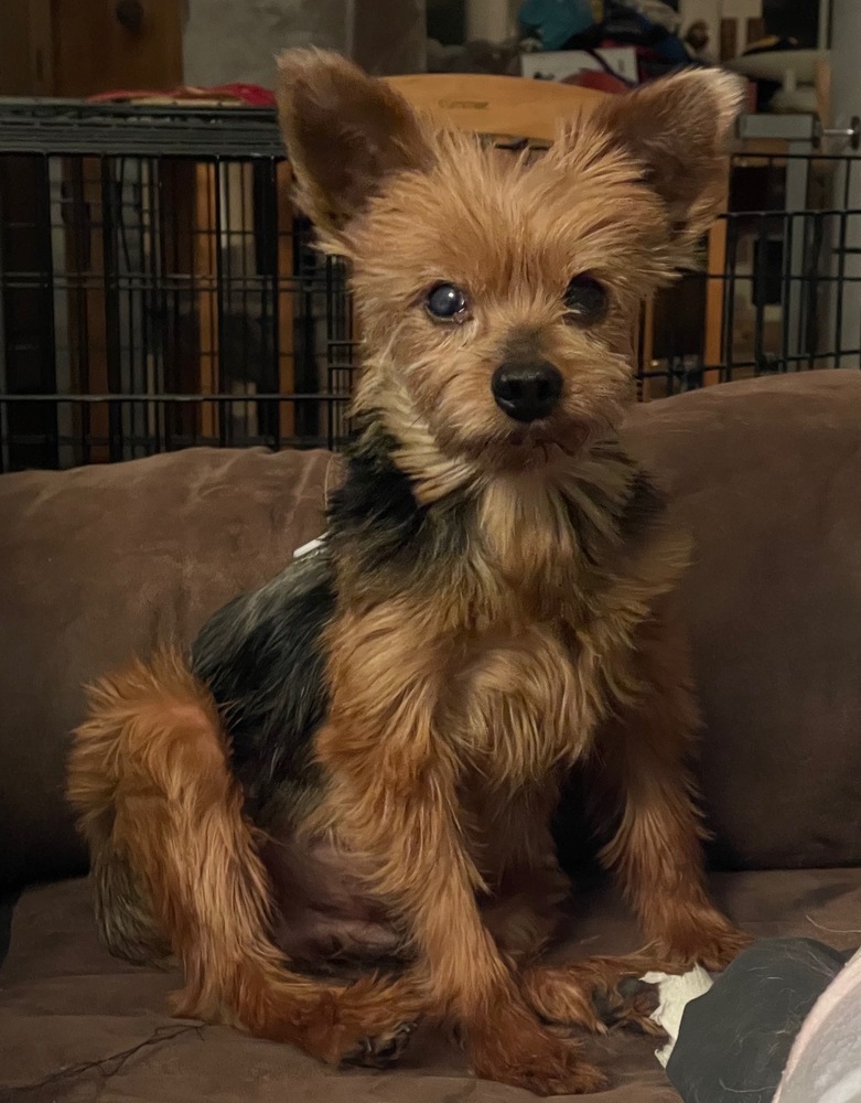 Sir Winston Bailey
