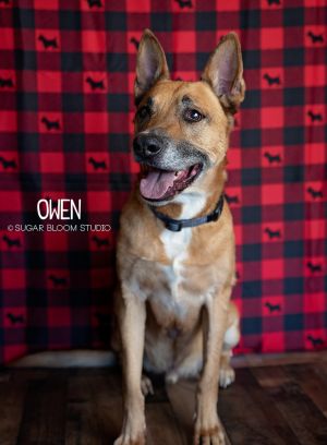 Owen, Senior Male unknown
