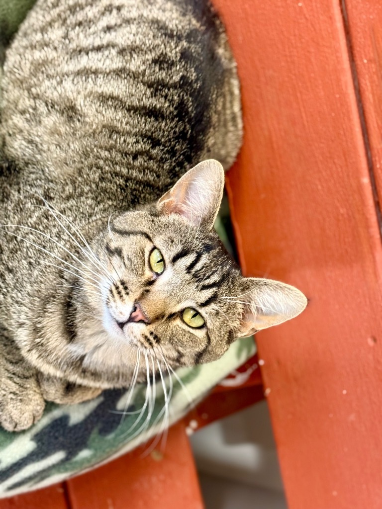 Leo