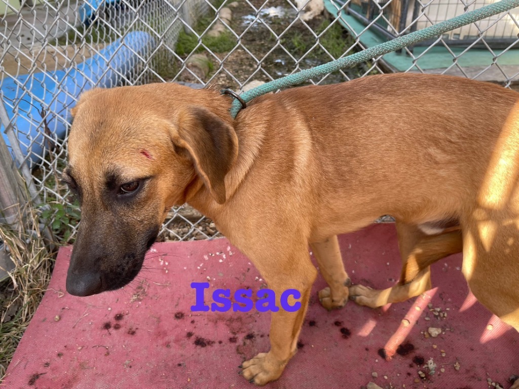 Issac