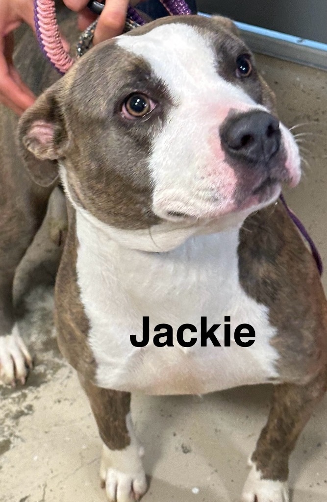 Jackie