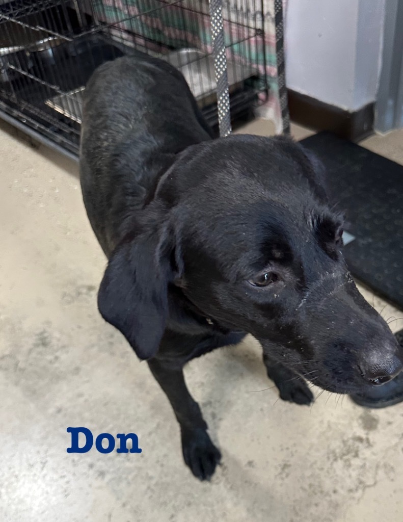Don