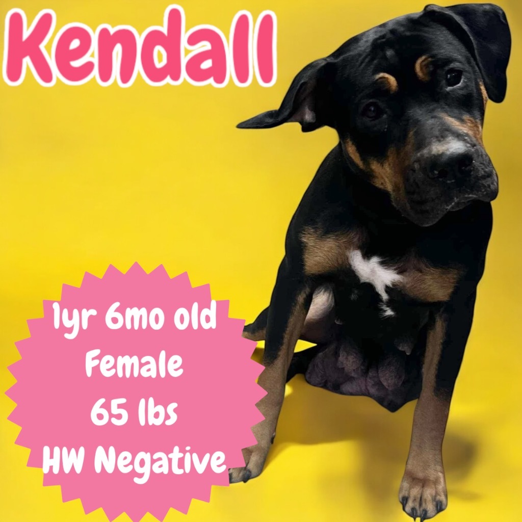 Kendall Photo