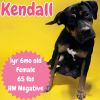 Kendall