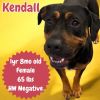 Kendall