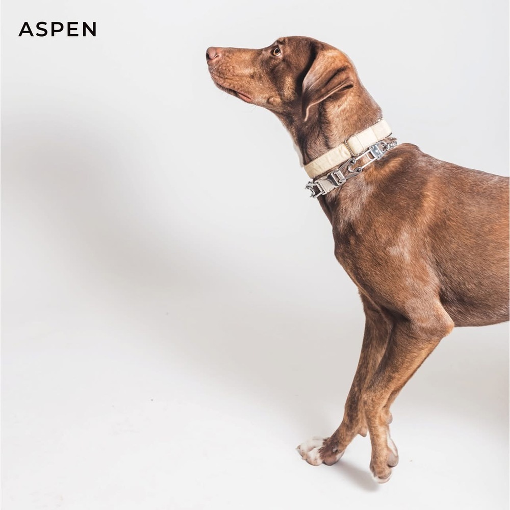 Aspen