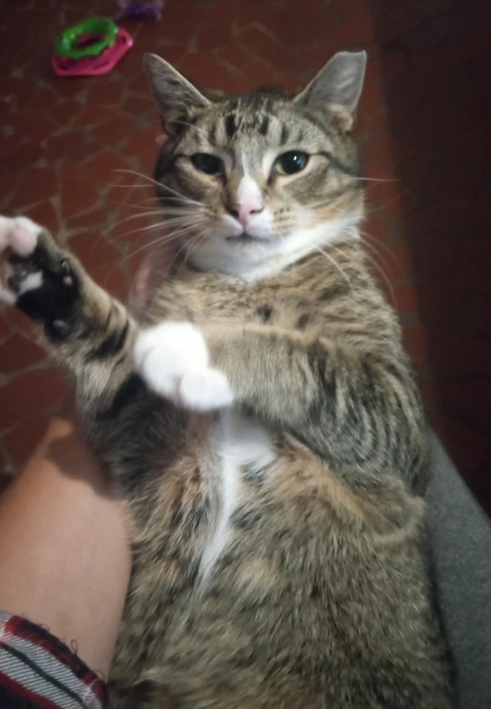 Steve