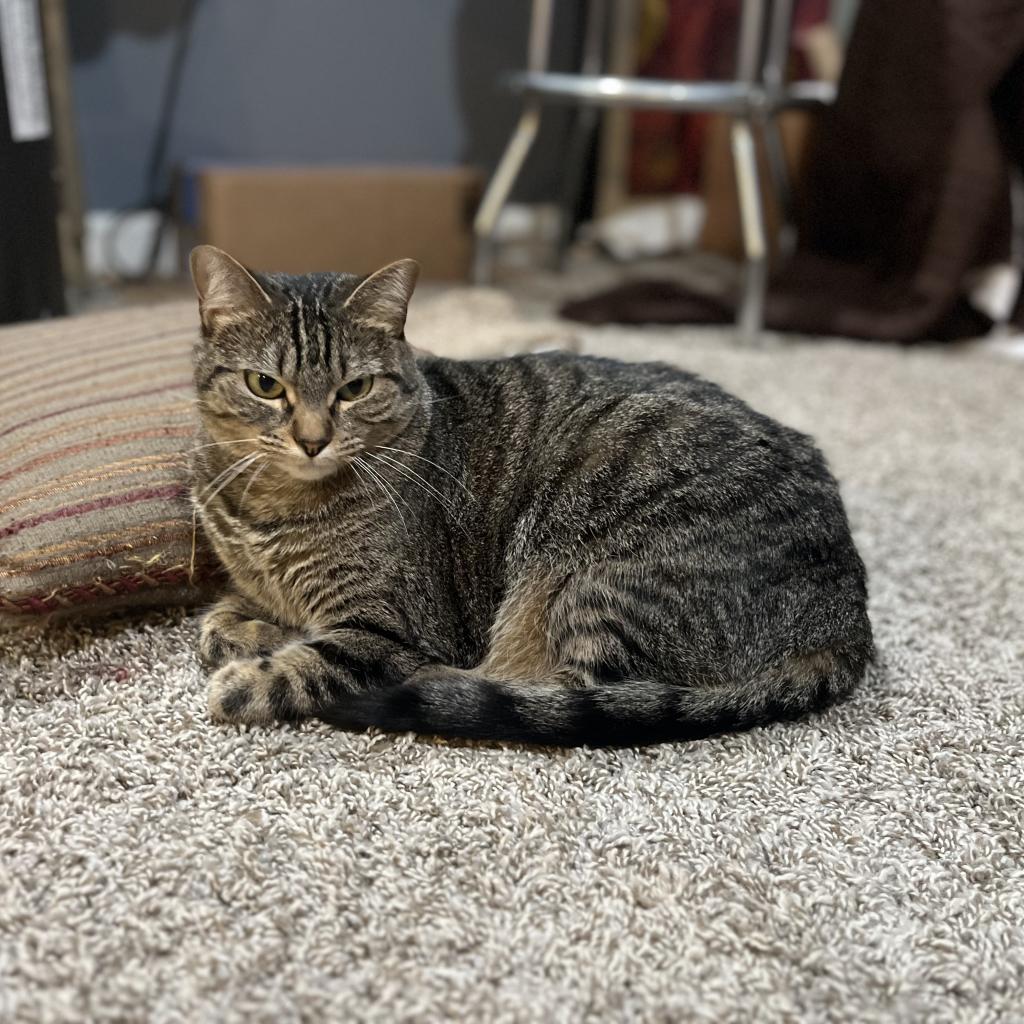 Amber