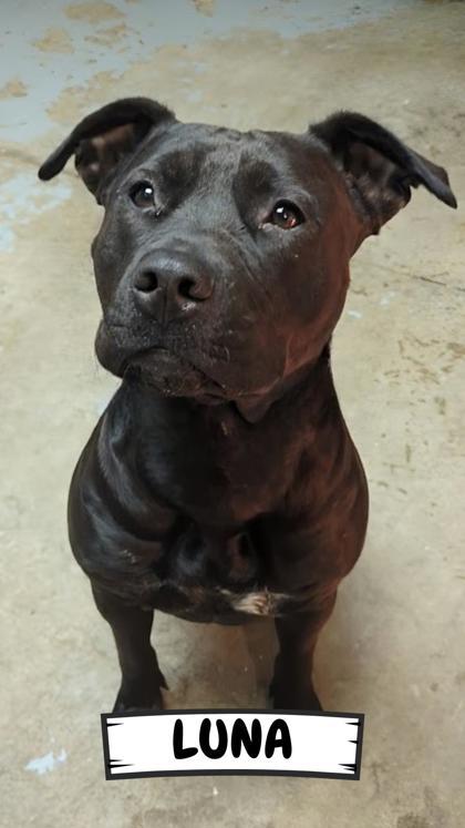 Luna