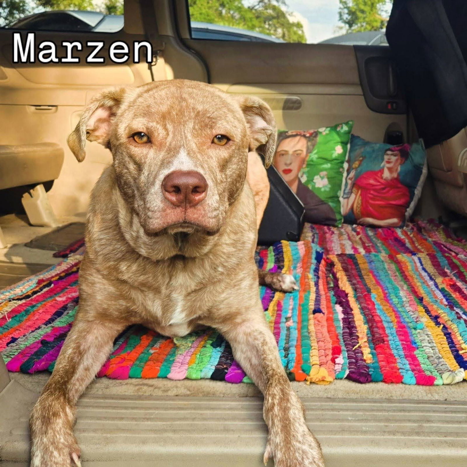 Marzen
