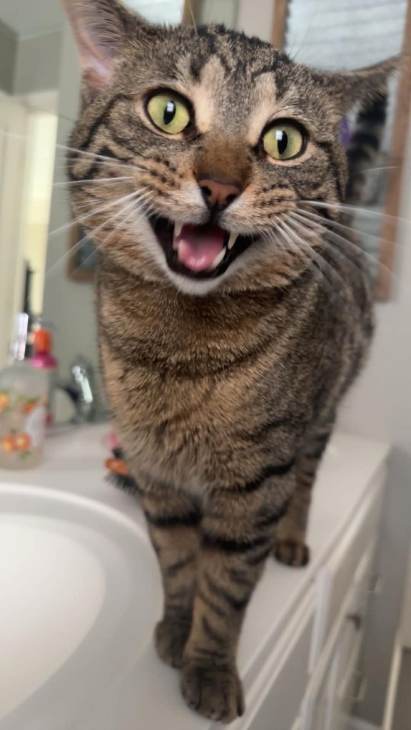 Bob