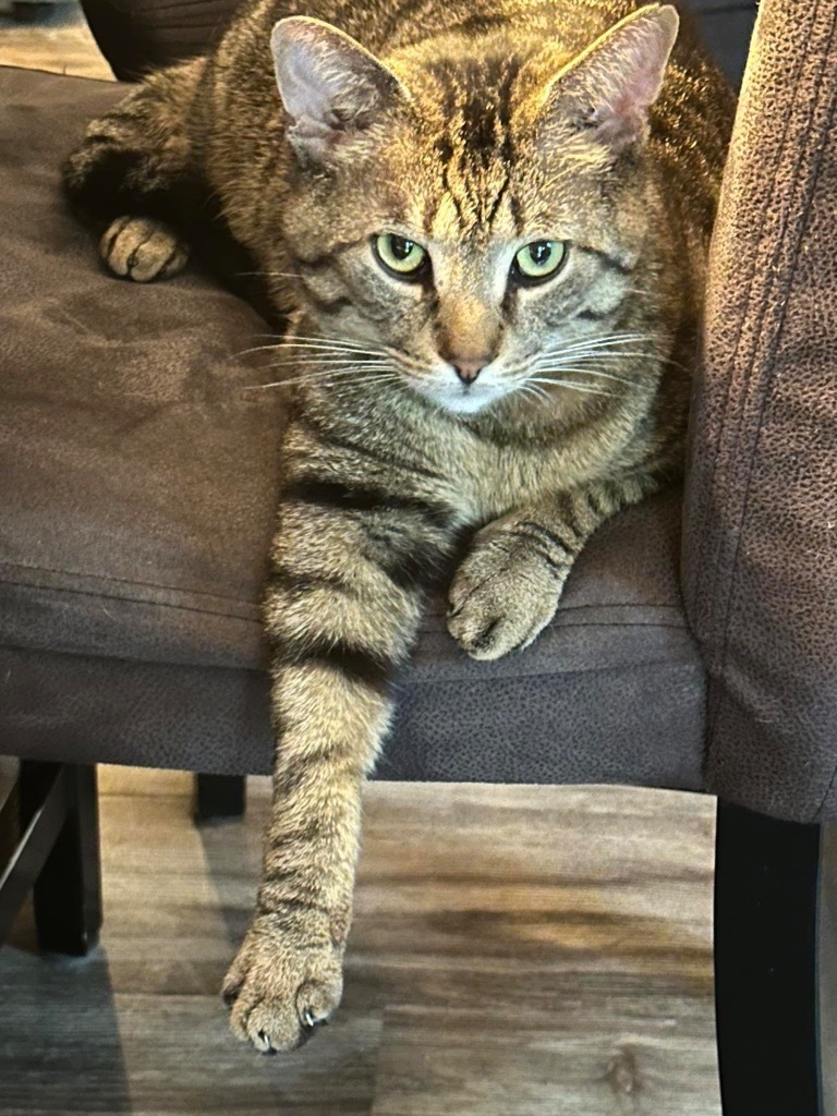 Bob