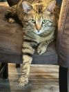Bob photo 5