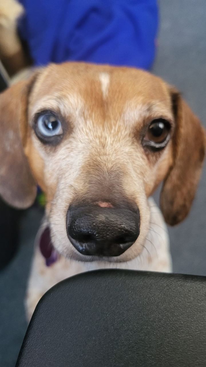 Bonded pair Riley & Wally 3