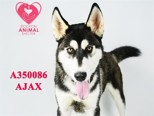 AJAX