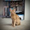 Hercules photo 2