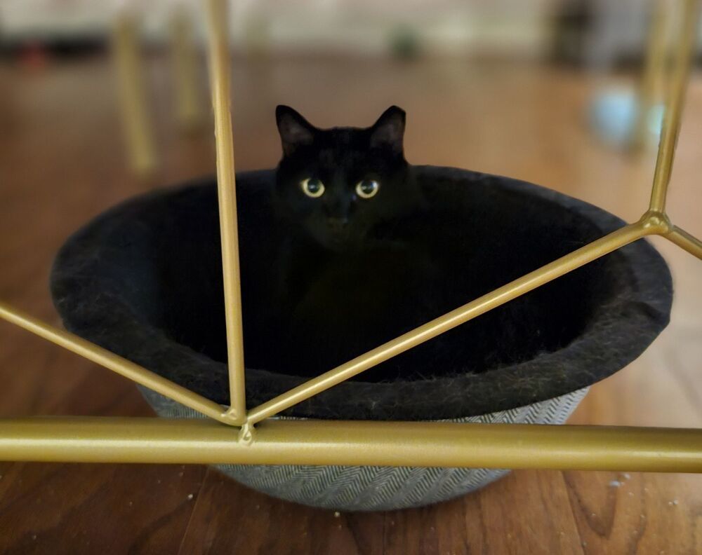 Sassy "Tripod" 7378