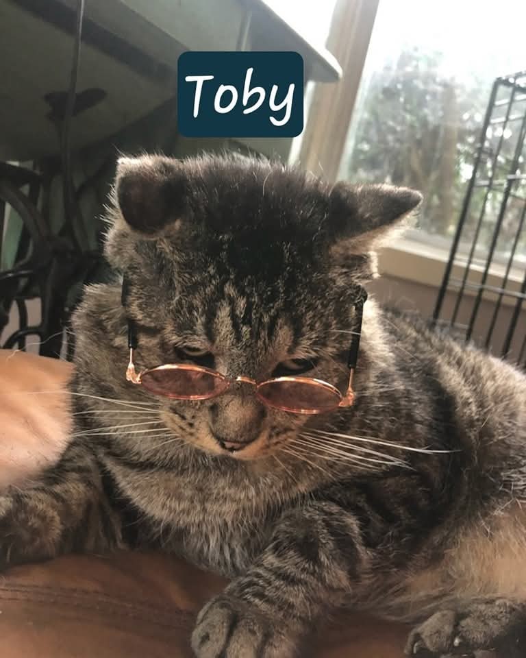 TOBY