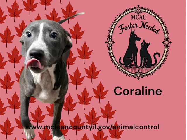 CORALINE