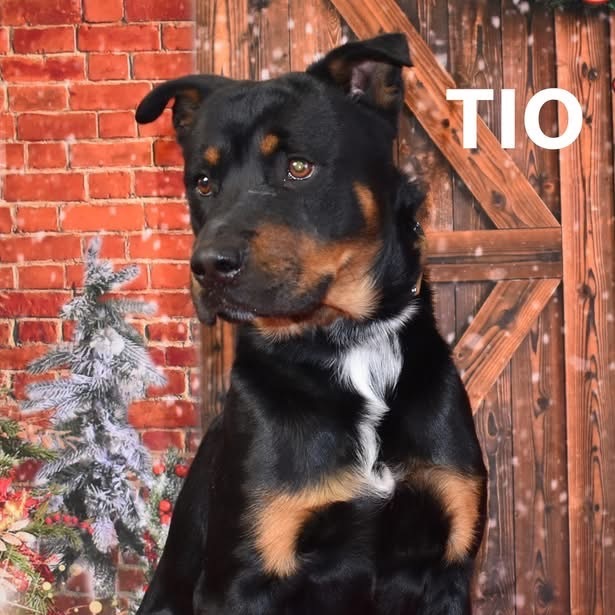 Tio 1