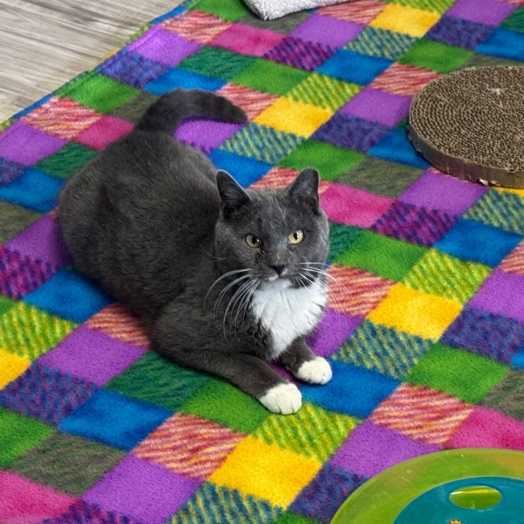 Axel