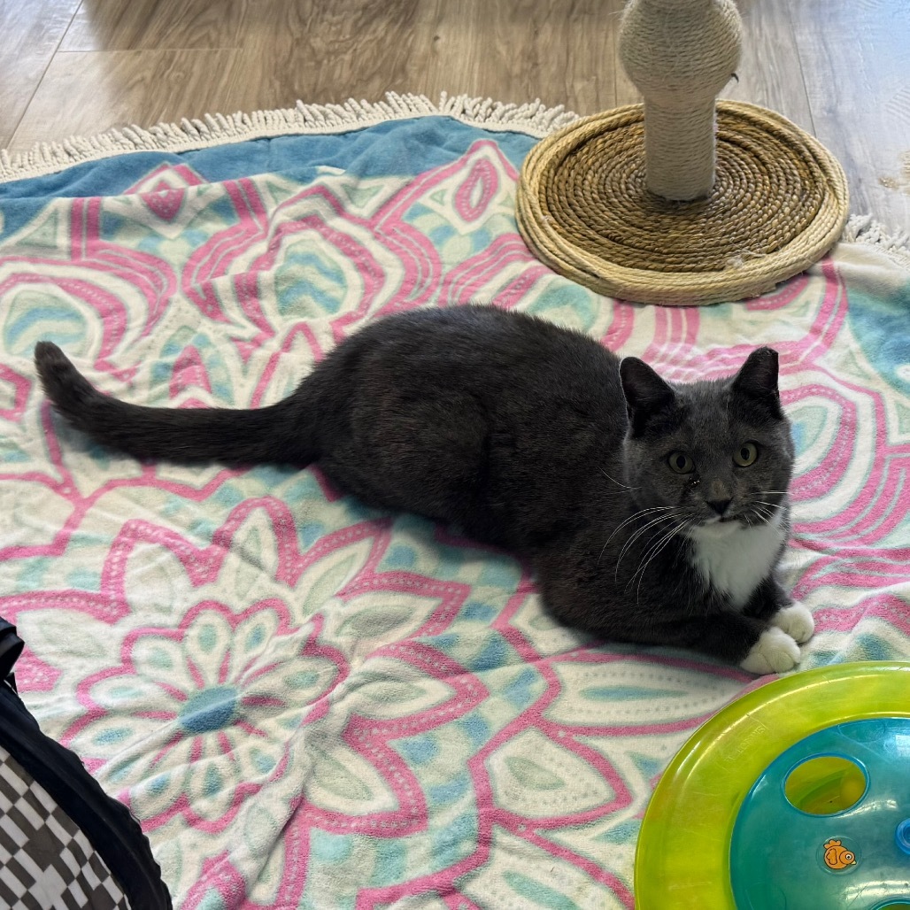 Axel