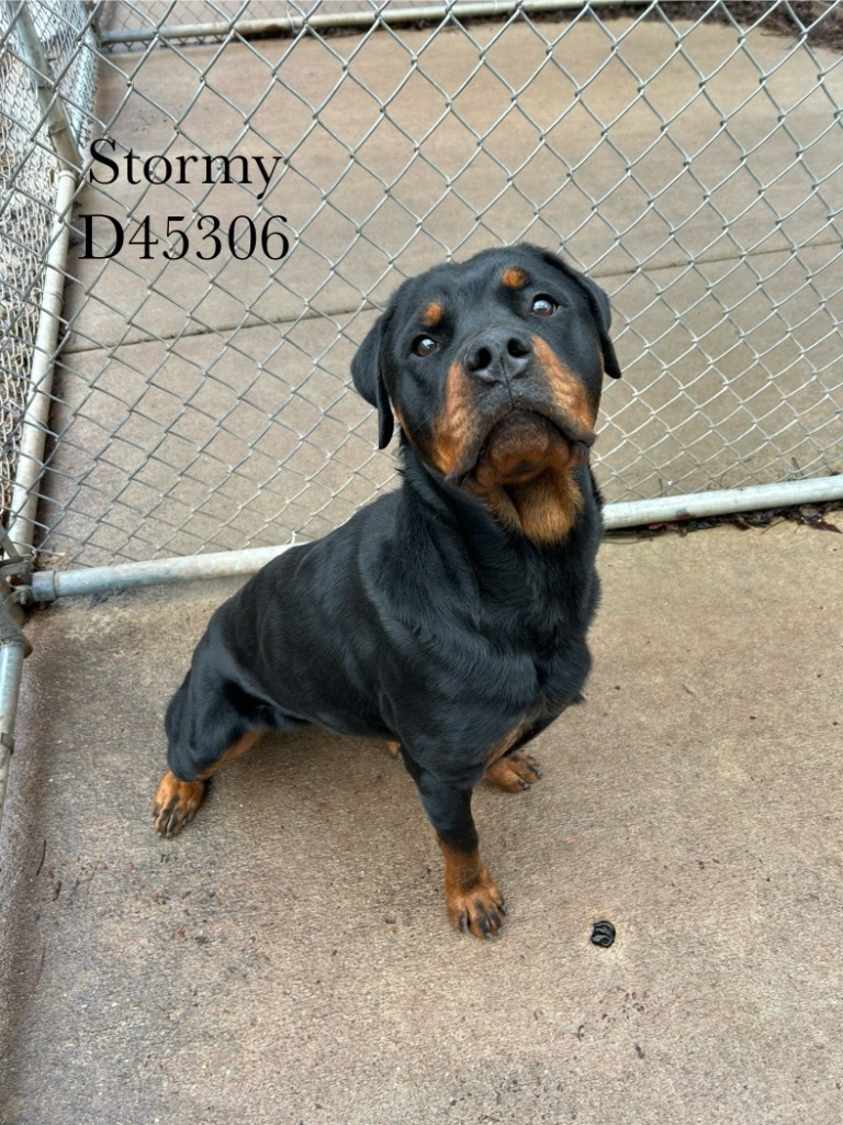 Stormy