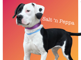 Salt n Peppa 1