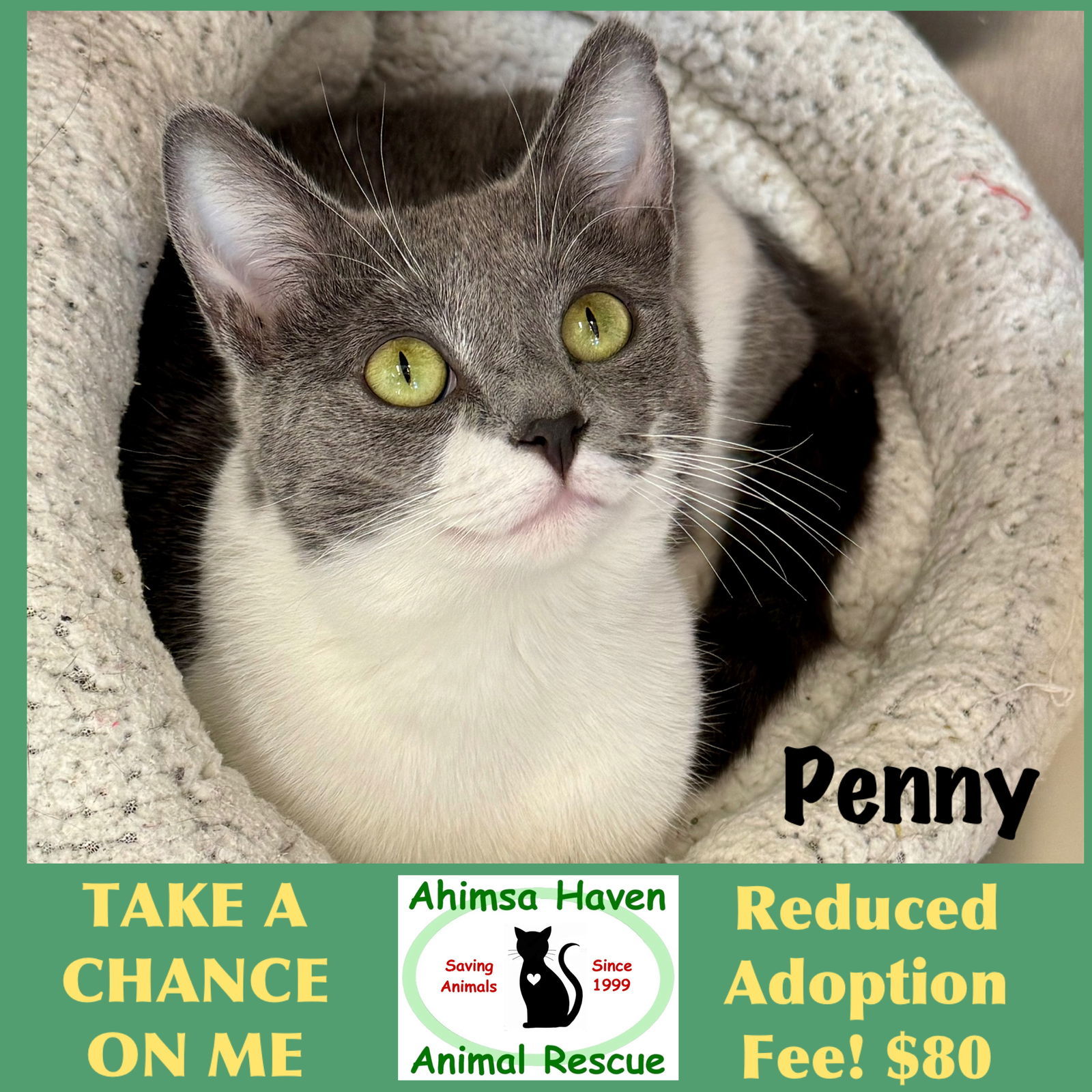 Penny