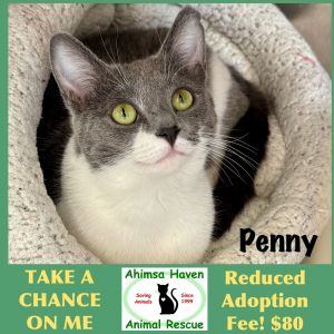 Penny