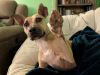 Polly photo 2