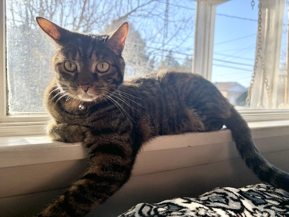 Peanut