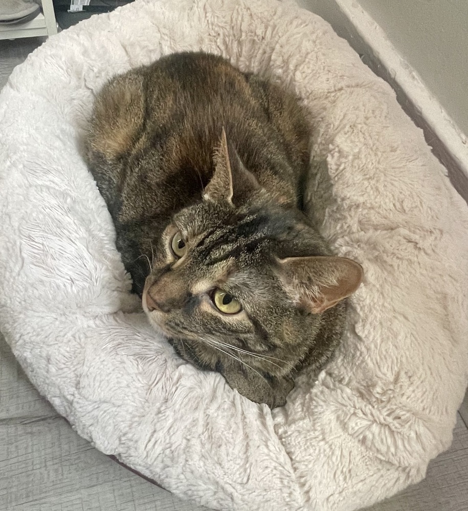 Peanut